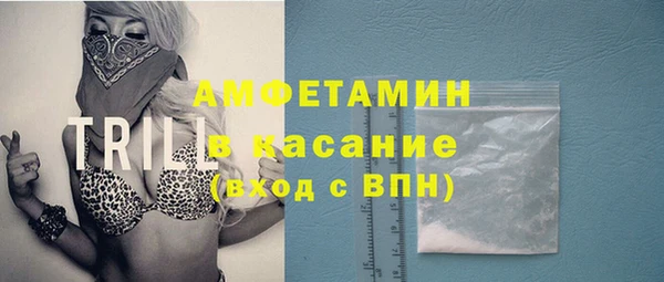 индика Новодвинск