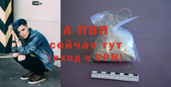 индика Новодвинск