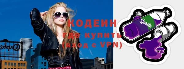 индика Новодвинск