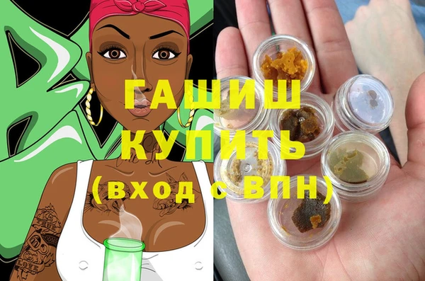 индика Новодвинск
