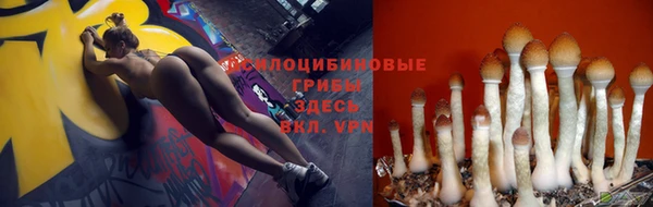 винт Арсеньев