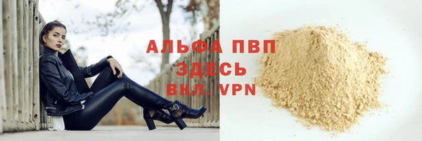 шишки Новозыбков