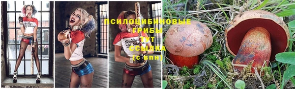 скорость Аркадак