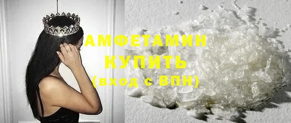 шишки Новозыбков