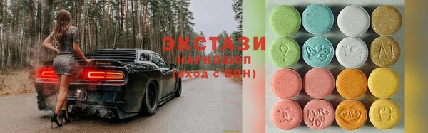 индика Новодвинск